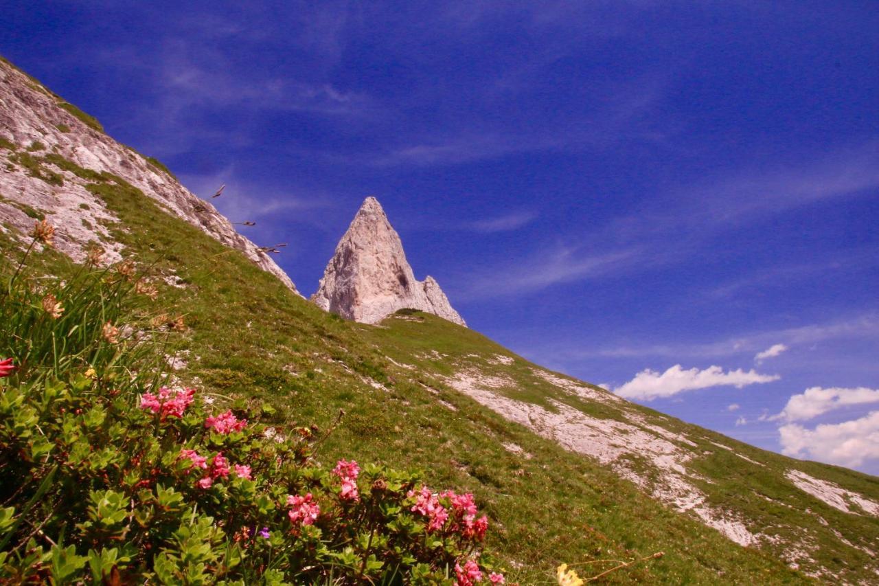 Schermerhuetten Tauplitzalm Bagian luar foto